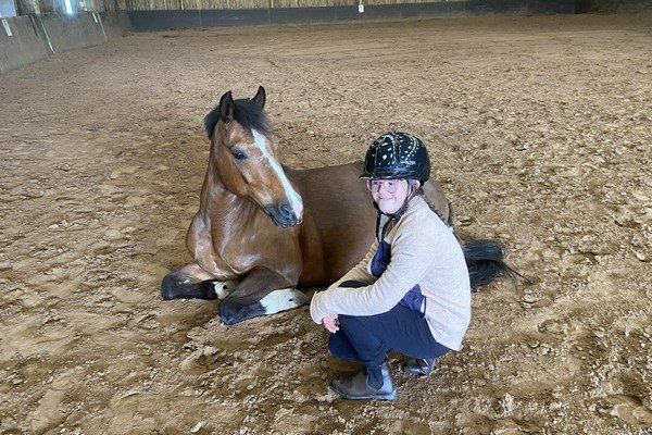 Cours Poney Rambouillet - Poney club 78