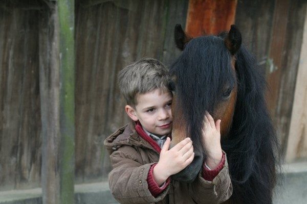 Cours Poney Rambouillet - Poney club 78