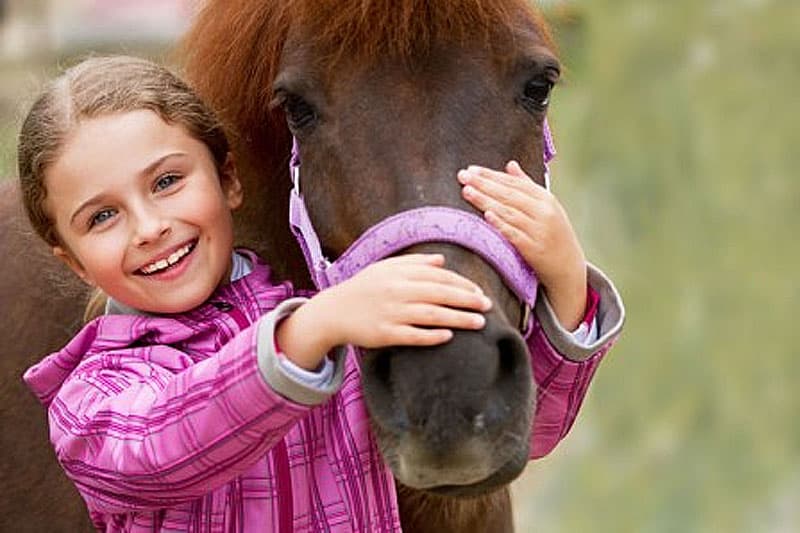 Cours Poney Rambouillet - Poney club 78